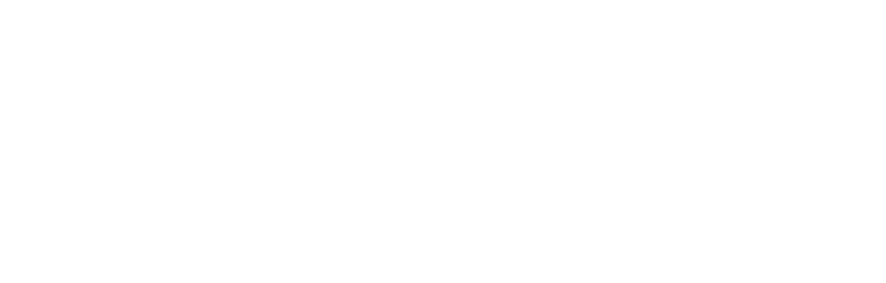 LAUROVINSTITUTE.COM